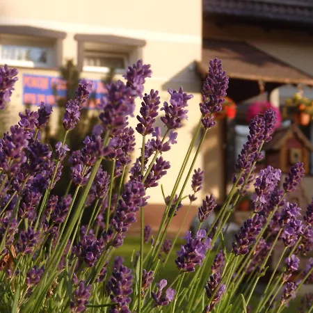 Goscinne U Zosi * Карпач