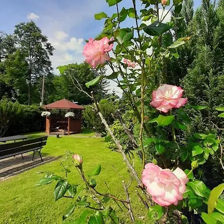 Goscinne U Zosi * Карпач