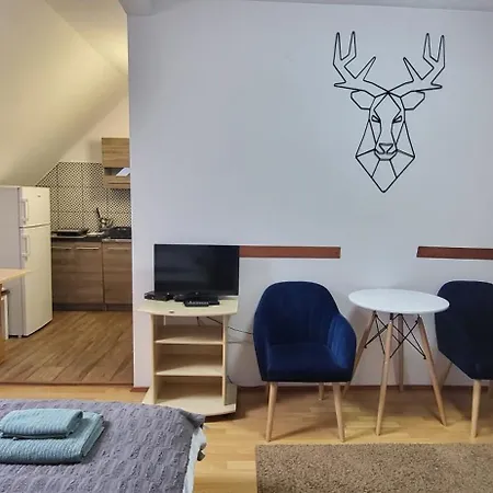 Privatunterkunft Goscinne U Zosi