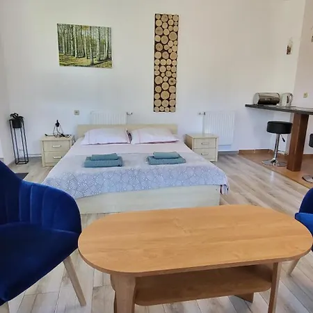 Goscinne U Zosi Проживание в семье Карпач